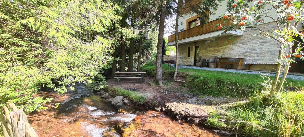 Arnica Montana Hotell Arieşeni Exteriör bild