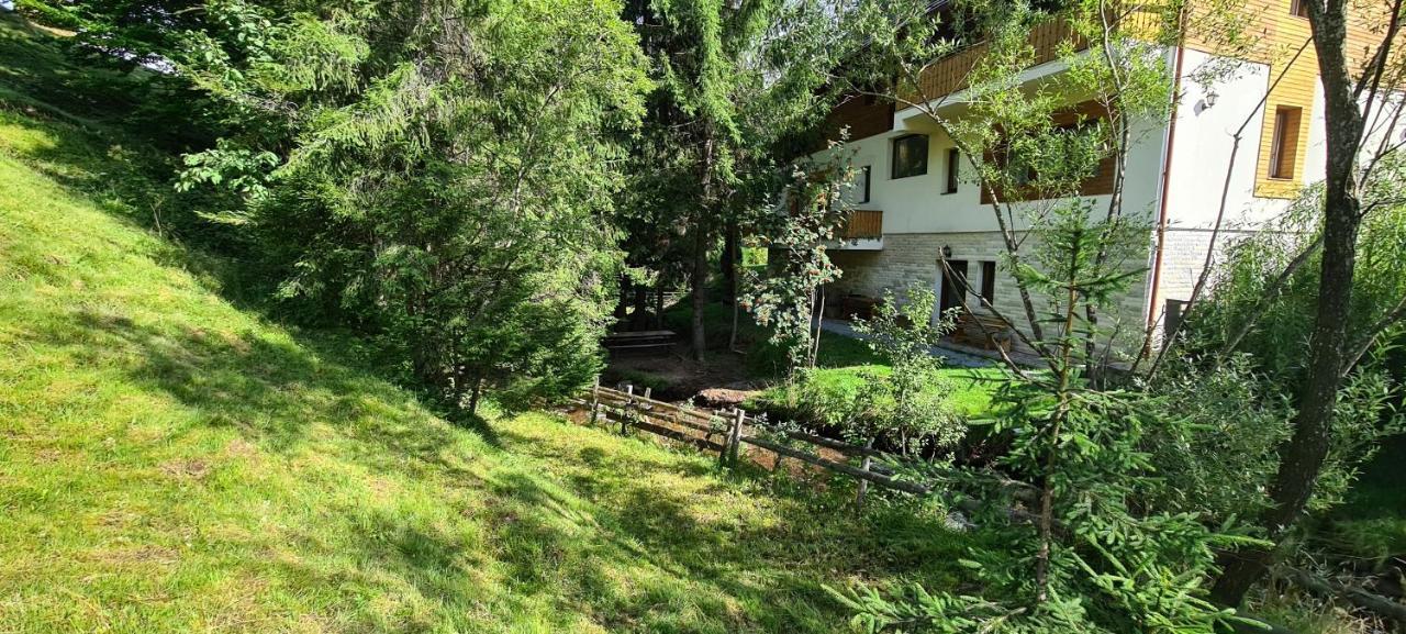 Arnica Montana Hotell Arieşeni Exteriör bild