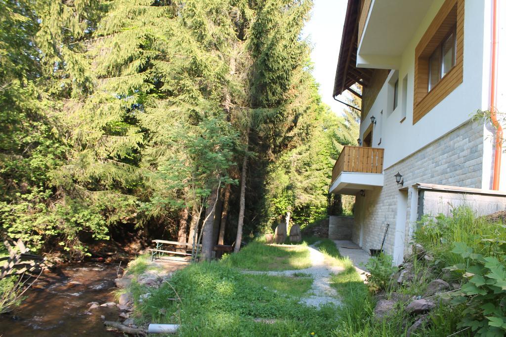 Arnica Montana Hotell Arieşeni Exteriör bild