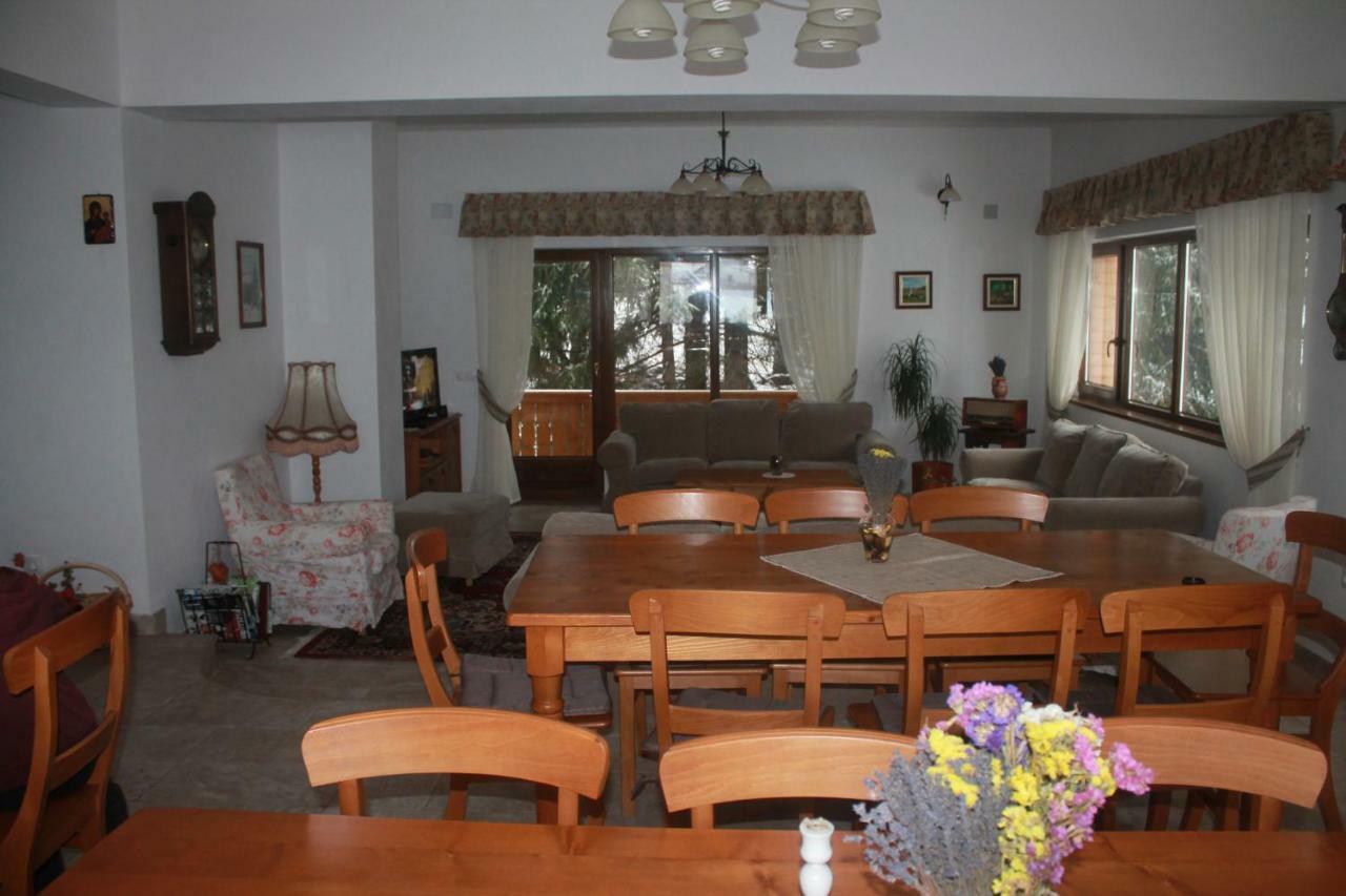 Arnica Montana Hotell Arieşeni Exteriör bild