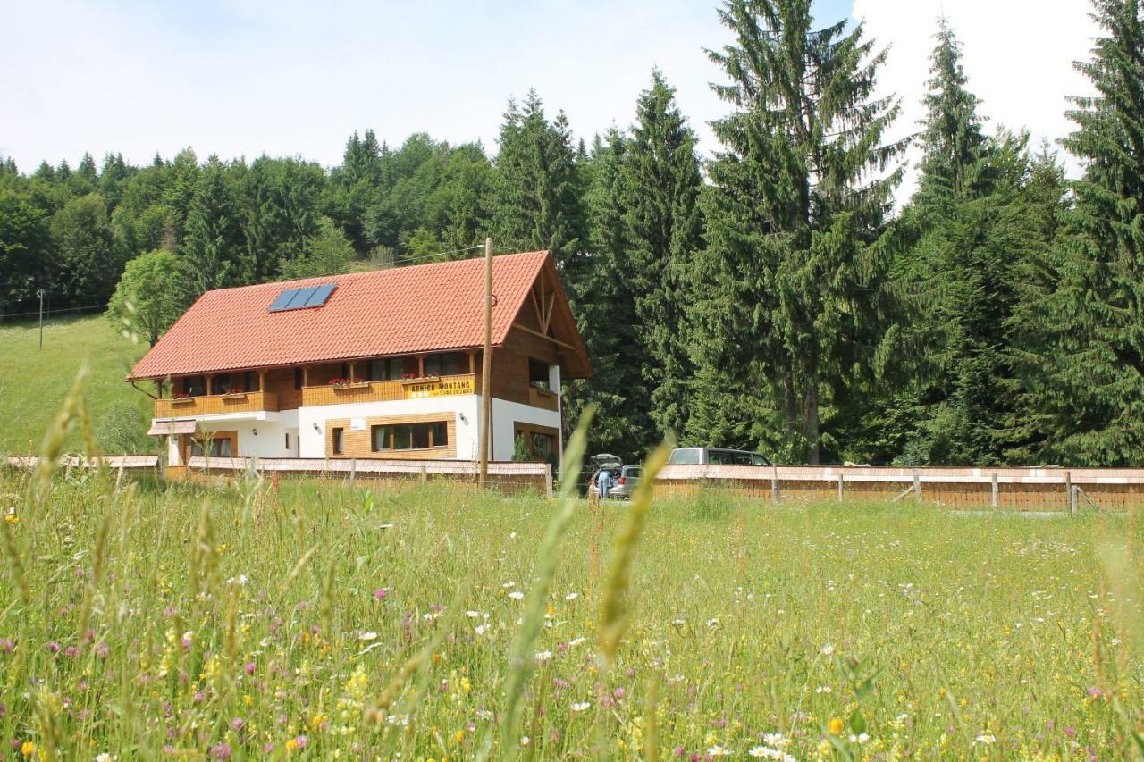 Arnica Montana Hotell Arieşeni Exteriör bild