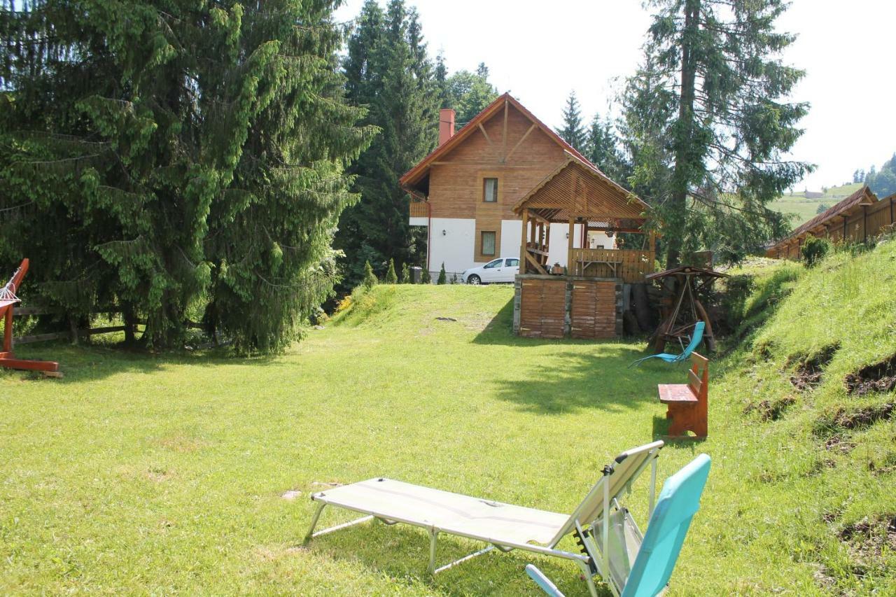 Arnica Montana Hotell Arieşeni Exteriör bild