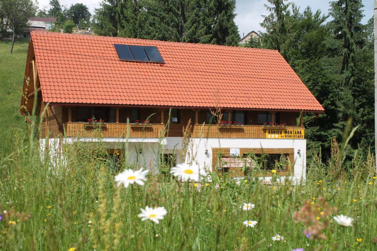 Arnica Montana Hotell Arieşeni Exteriör bild