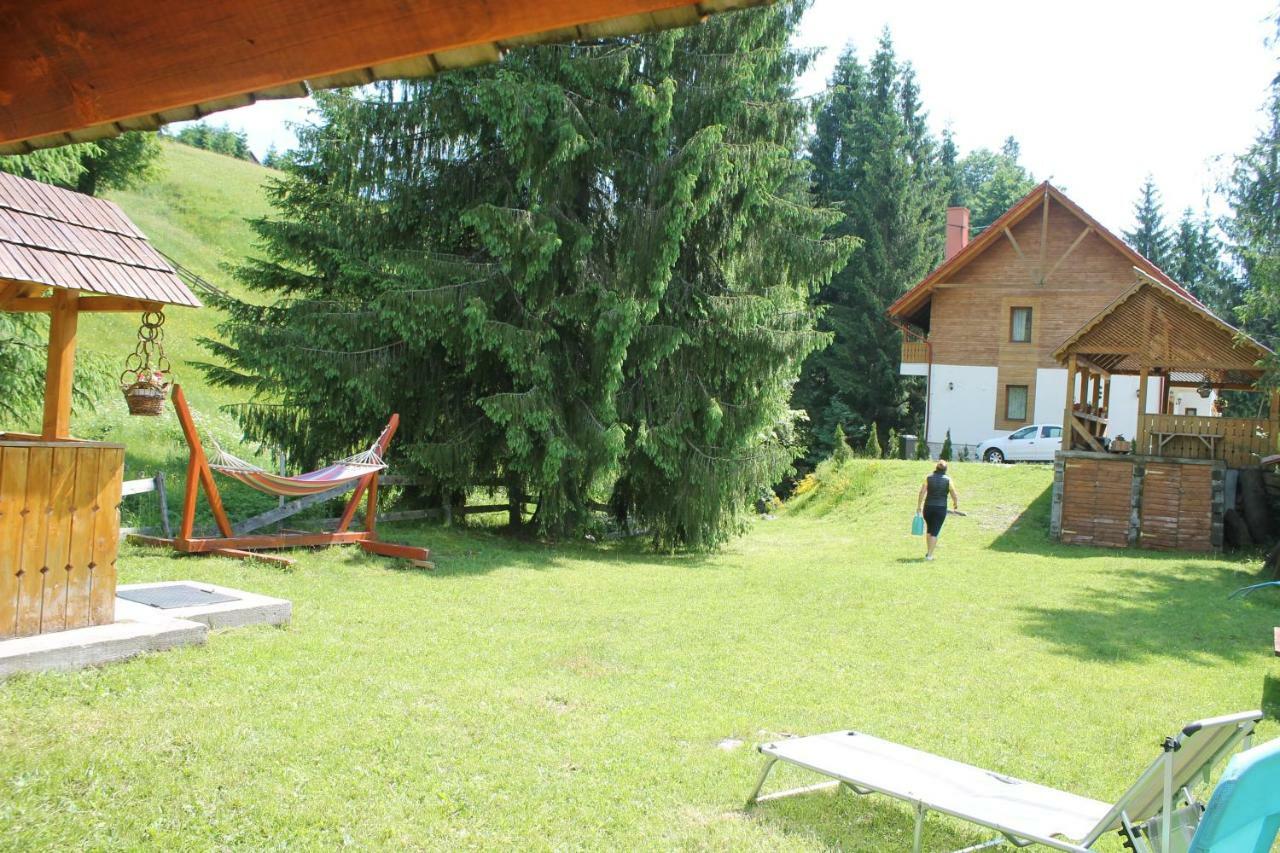 Arnica Montana Hotell Arieşeni Exteriör bild