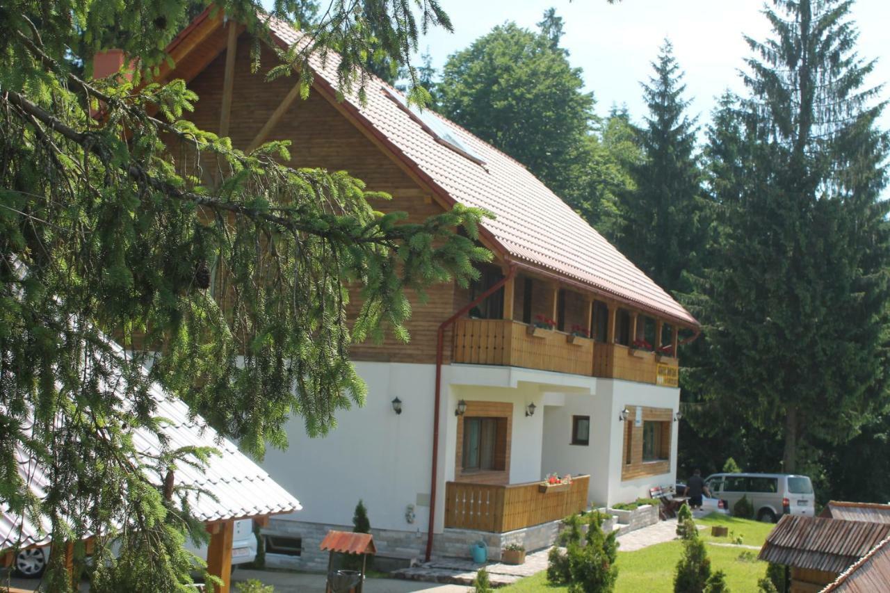 Arnica Montana Hotell Arieşeni Exteriör bild