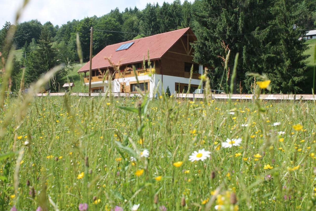 Arnica Montana Hotell Arieşeni Exteriör bild