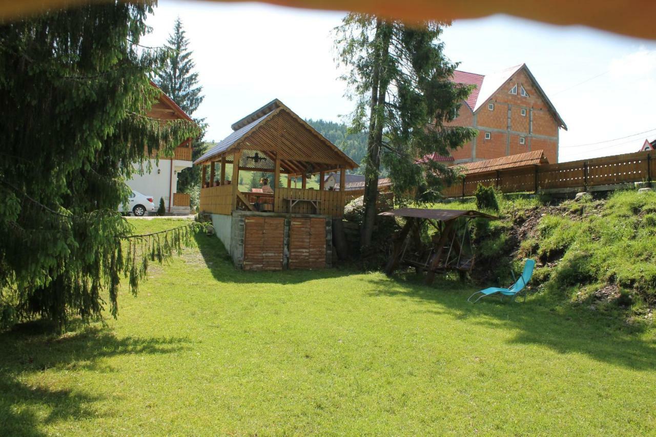 Arnica Montana Hotell Arieşeni Exteriör bild