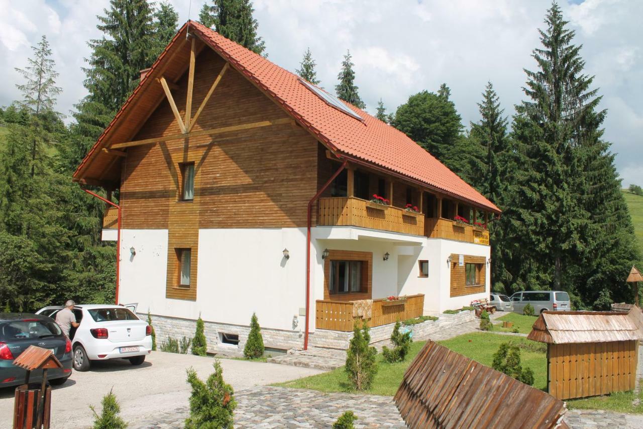 Arnica Montana Hotell Arieşeni Exteriör bild