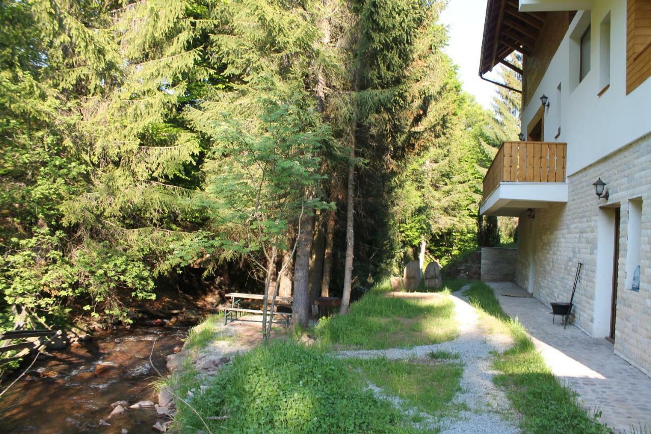 Arnica Montana Hotell Arieşeni Exteriör bild