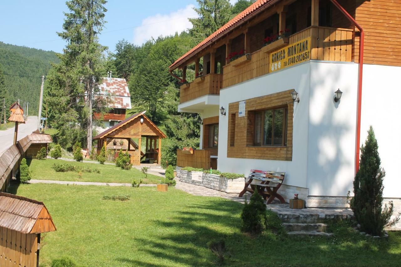 Arnica Montana Hotell Arieşeni Exteriör bild