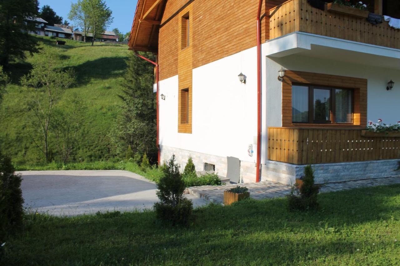 Arnica Montana Hotell Arieşeni Exteriör bild