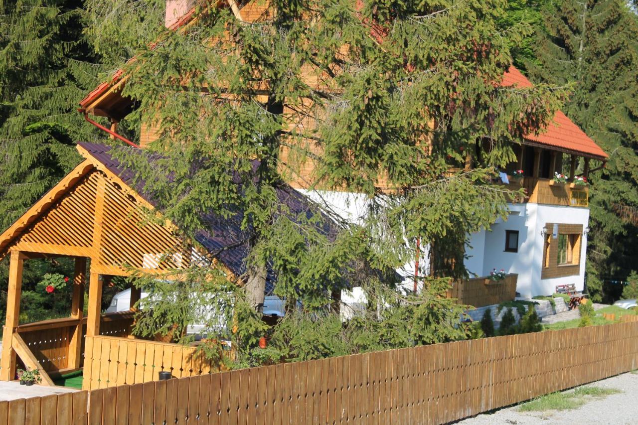 Arnica Montana Hotell Arieşeni Exteriör bild