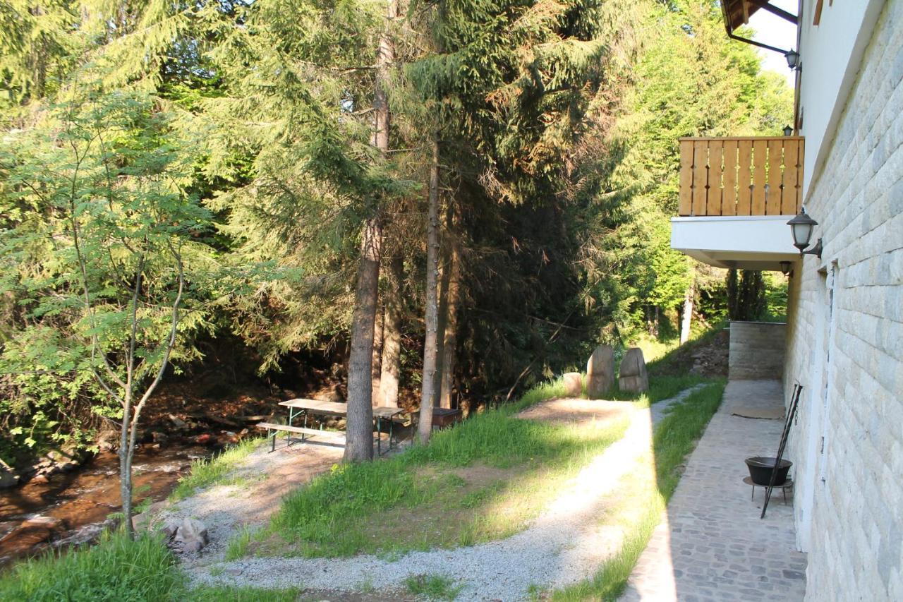 Arnica Montana Hotell Arieşeni Exteriör bild