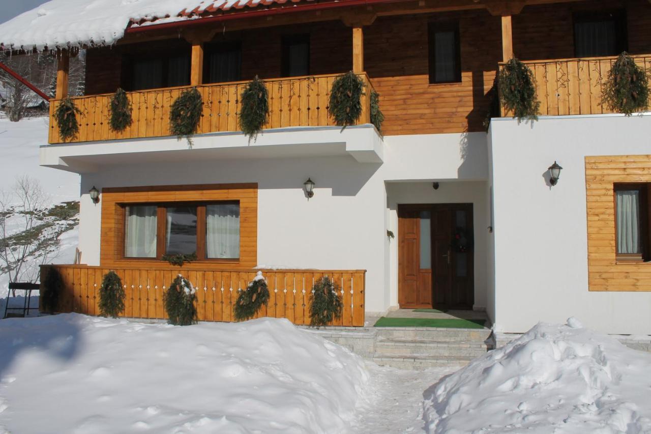 Arnica Montana Hotell Arieşeni Exteriör bild