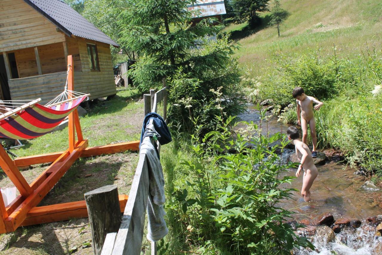 Arnica Montana Hotell Arieşeni Exteriör bild