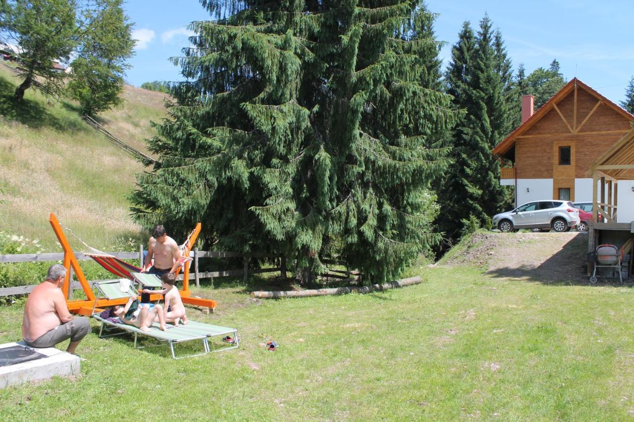 Arnica Montana Hotell Arieşeni Exteriör bild