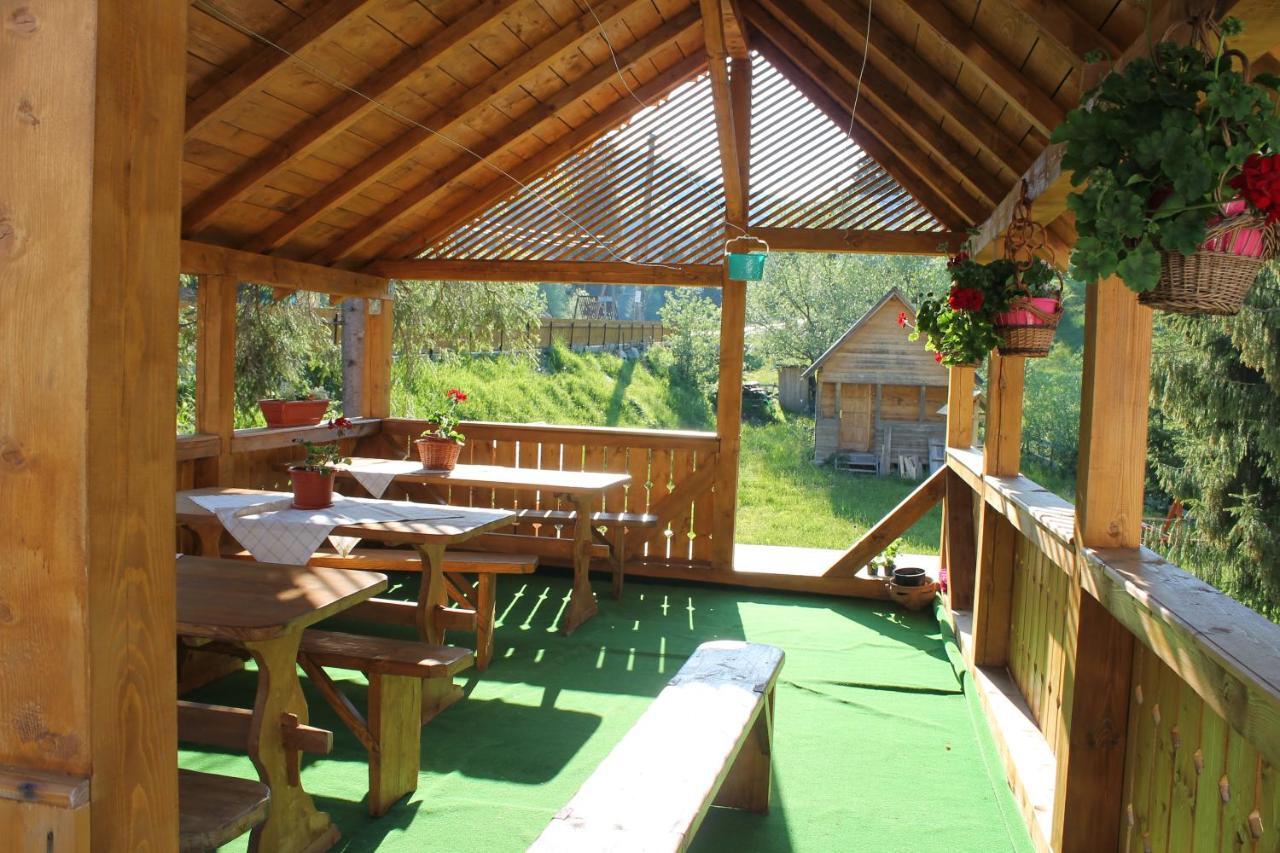 Arnica Montana Hotell Arieşeni Exteriör bild