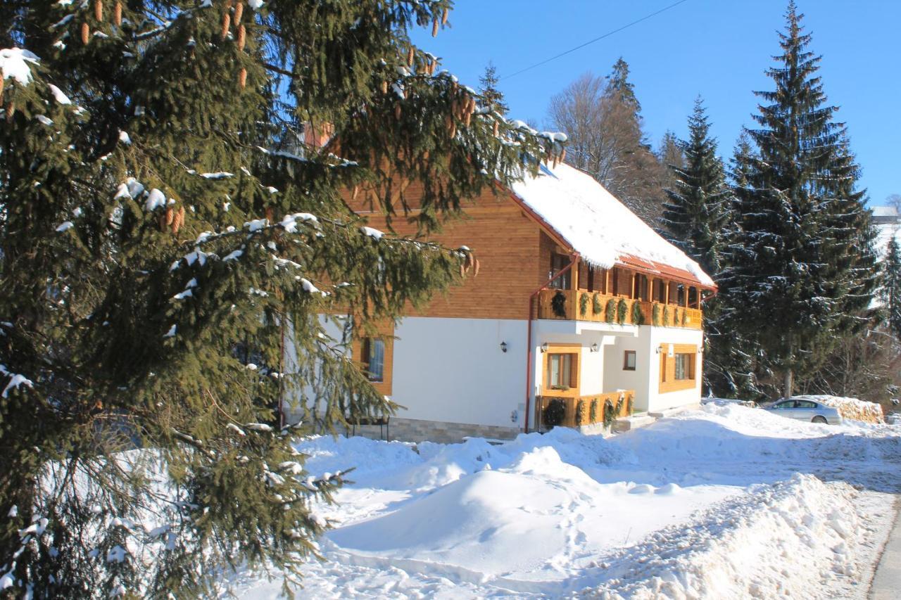 Arnica Montana Hotell Arieşeni Exteriör bild