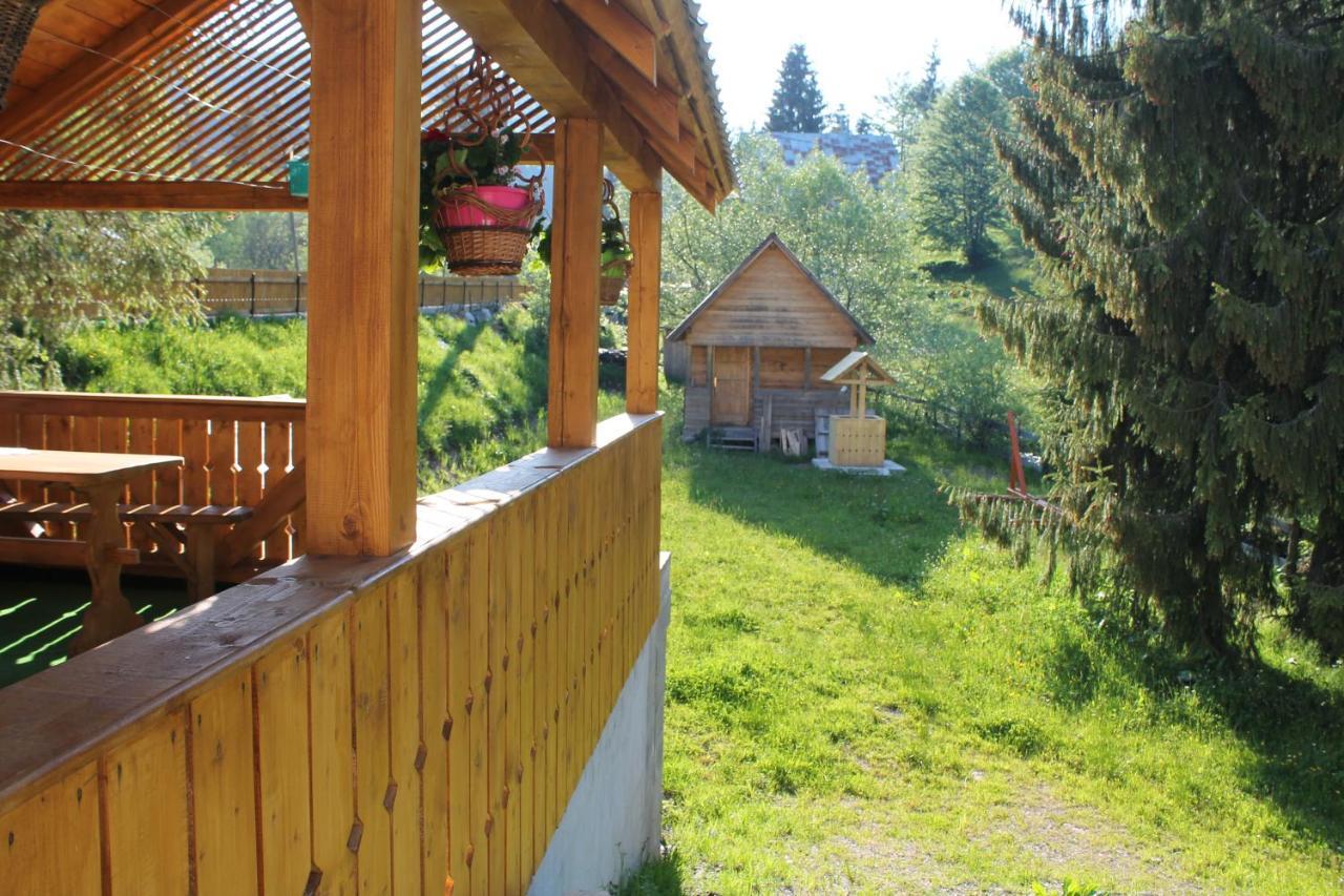 Arnica Montana Hotell Arieşeni Exteriör bild